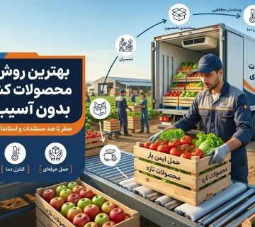 بهترین روش حمل محصولات کشاورزی بدون آسیب به بار 840848
